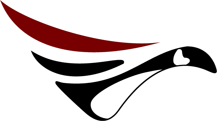 Indigenous Aerospace Logo